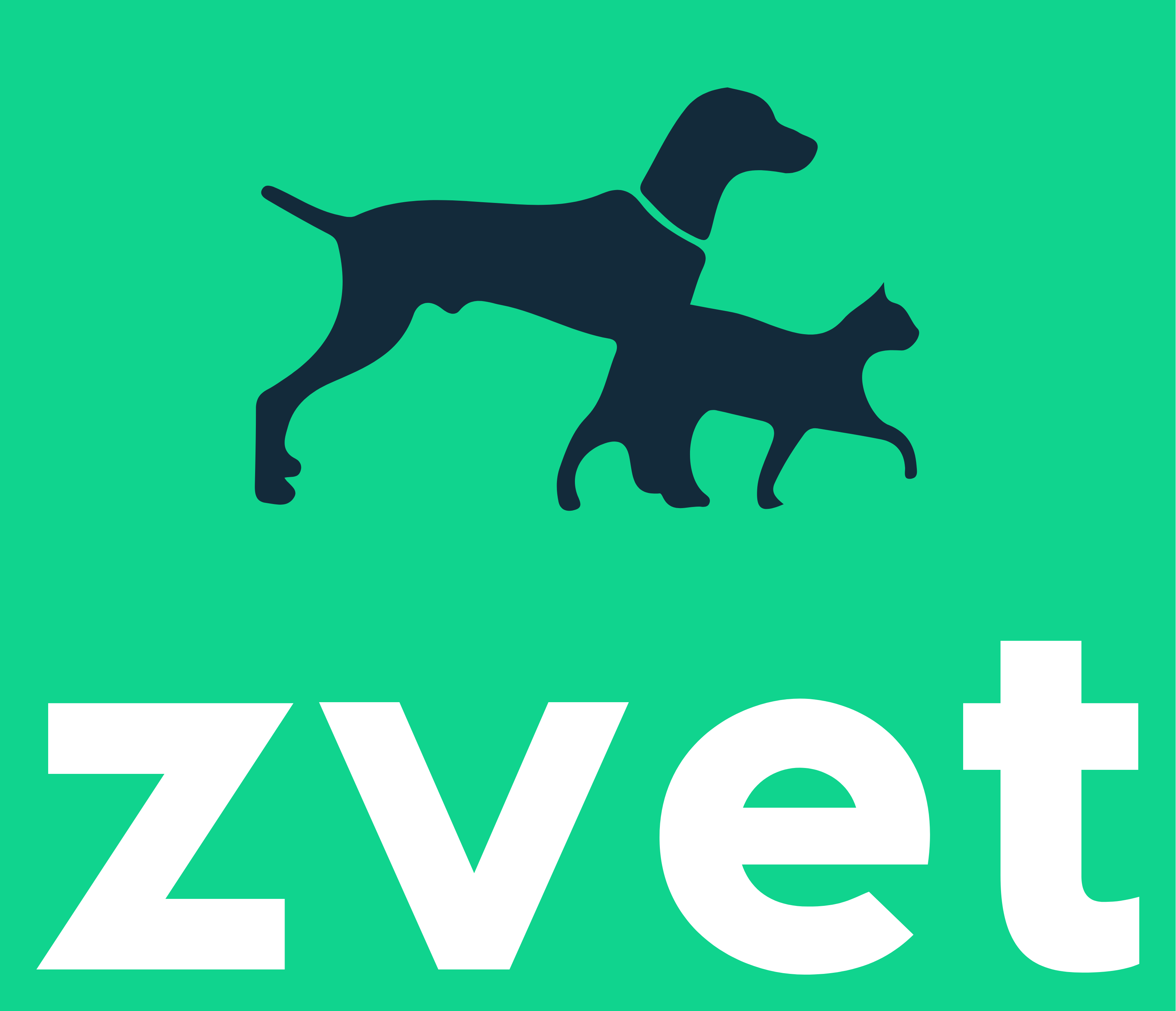 zVet | Demo